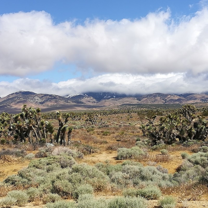 J31 à J32 (27 au 28 mai) : Mile 518 à&nbsp;567