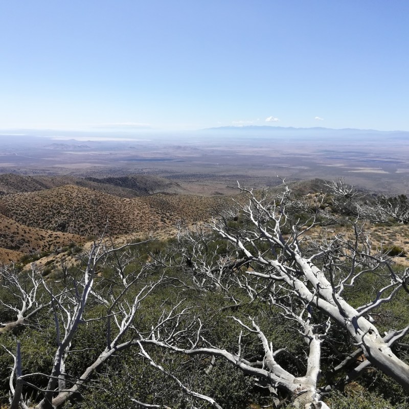 J33 (29 mai) : Zero&nbsp;day