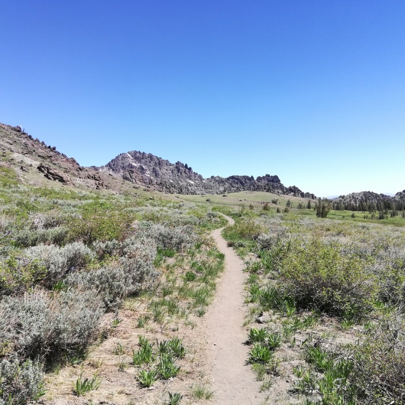 J 74 (09 juillet) : mile 1017 à&nbsp;1018