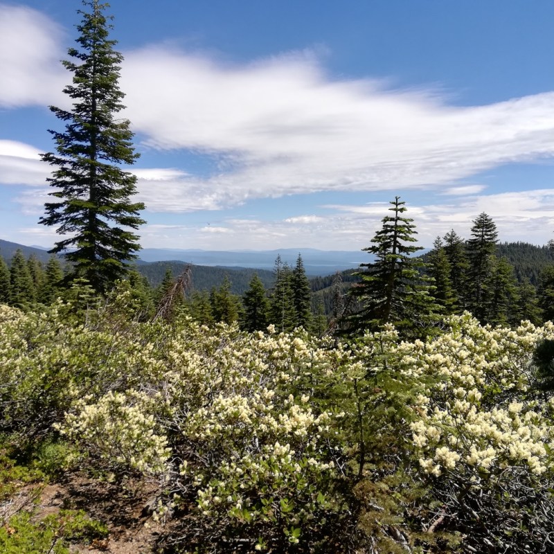 J 82 à J 89 (17 au 24 juillet) : mile 1172 à&nbsp;1331,3