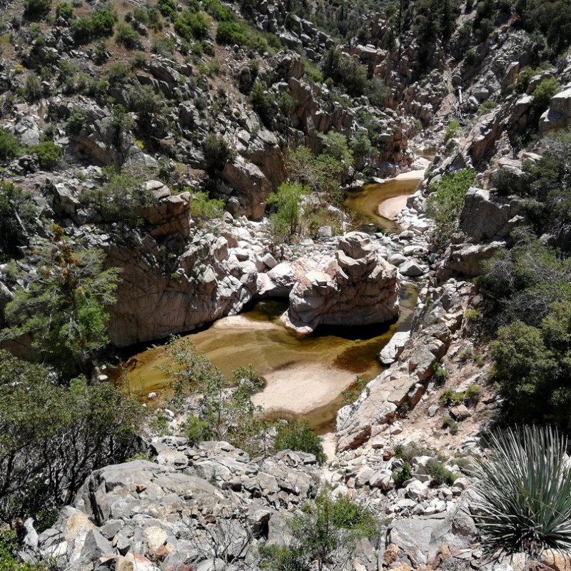 J16 à J20 (12 au 16 mai) : Mile 267 à&nbsp;363
