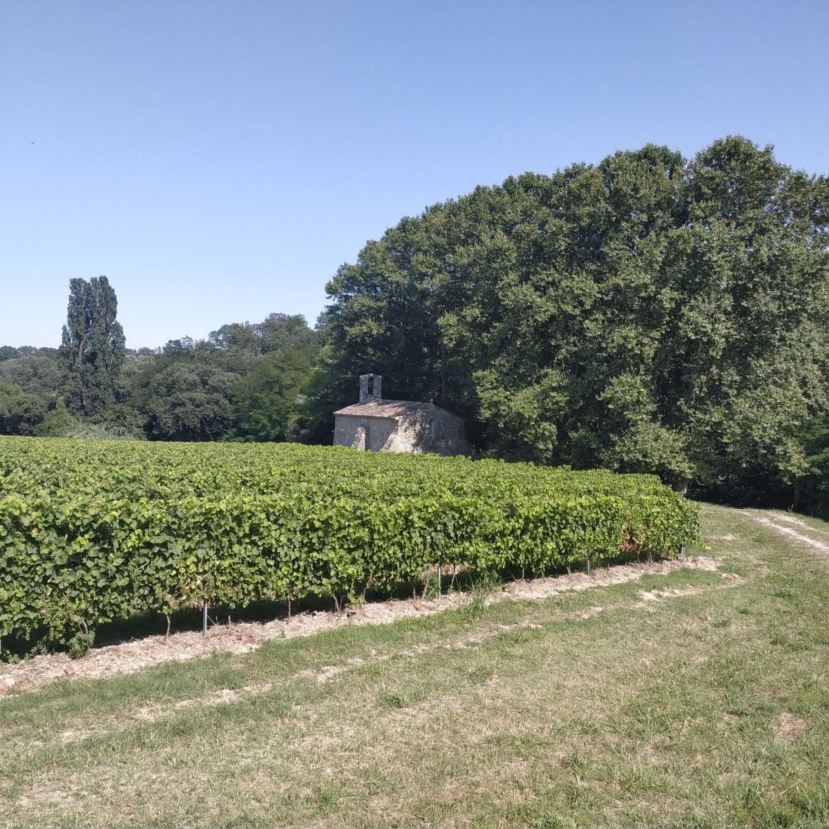 J1 (18/07/24) : PK 0 au PK&nbsp;20