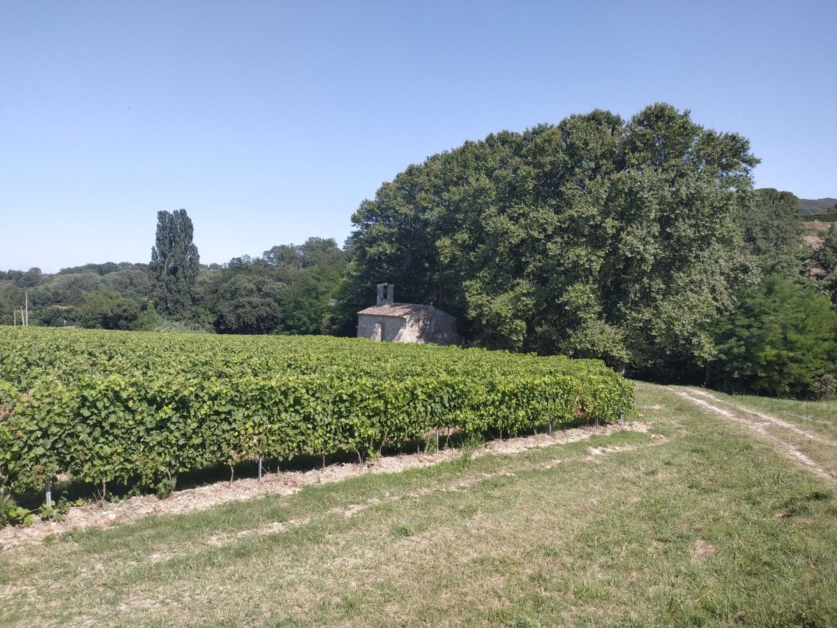 J1 (18/07/24) : PK 0 au PK&nbsp;20