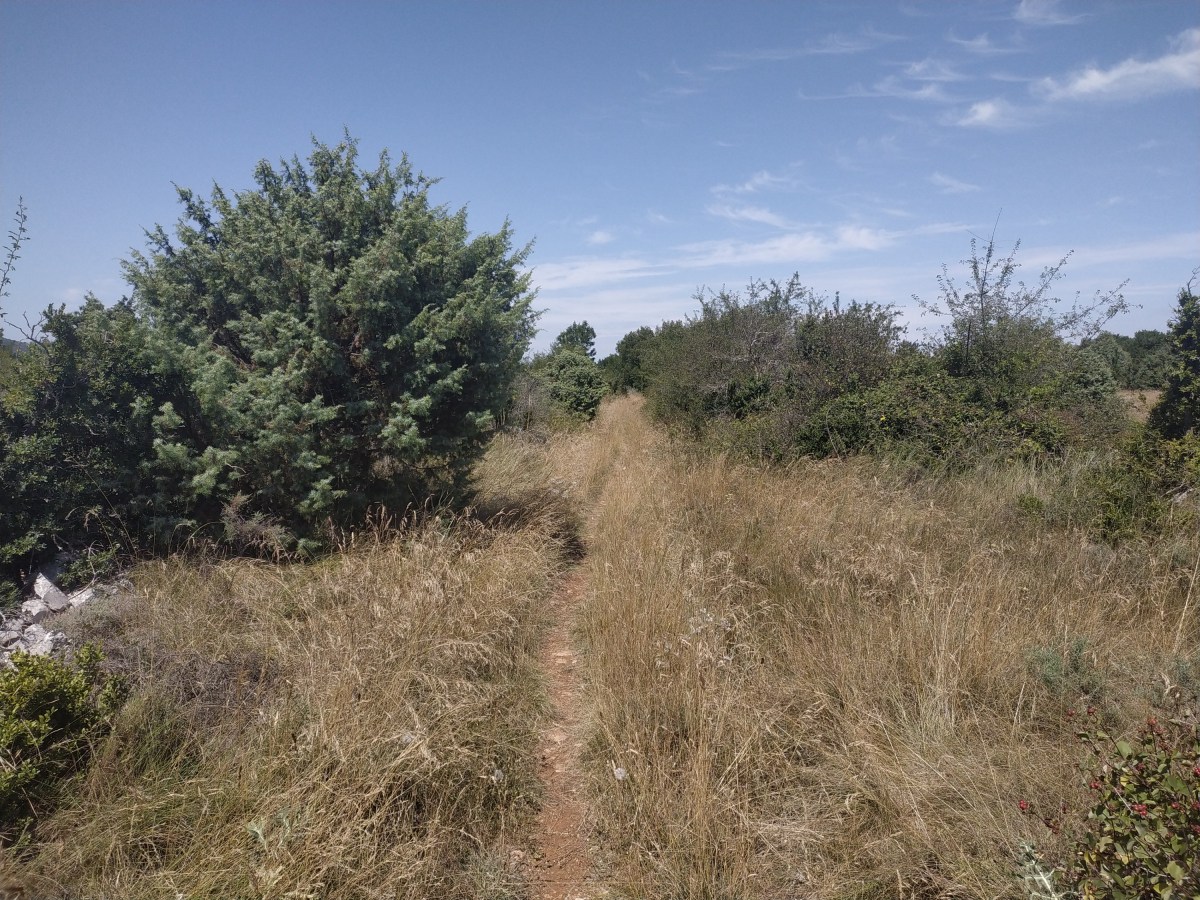 J3 (20/07/24) : PK 57 au PK&nbsp;94