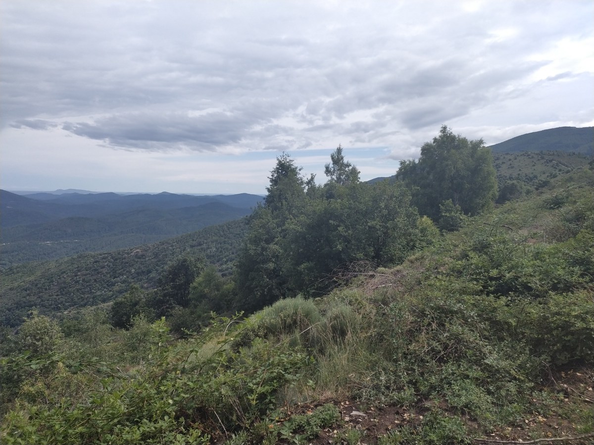 J4 (21/07/24) : PK 94 au&nbsp;130