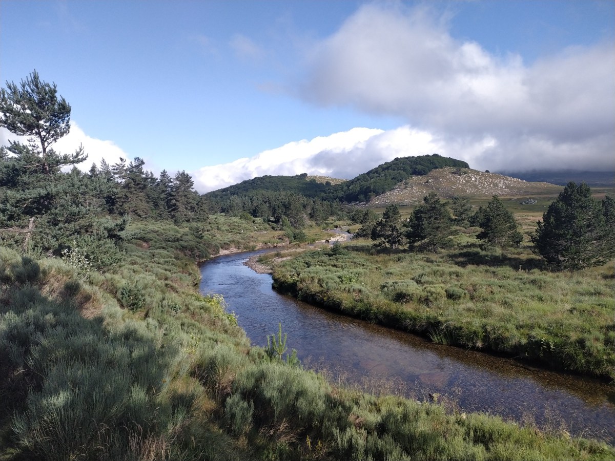 J5 (22/07/24) : PK 130 au&nbsp;169